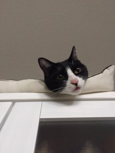 なにか？